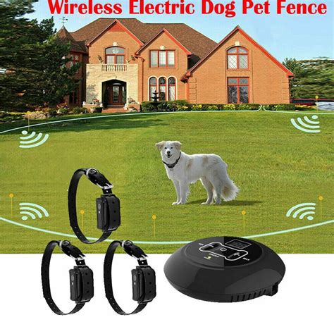 best outdoor dog fence wireless